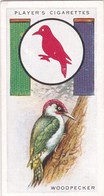 Boy Scout & Girl Guide (Patrol Signs + Emblems) 1933, Players Original Cigarette Card, 24 Woodpecker - Player's