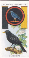Boy Scout & Girl Guide (Patrol Signs + Emblems) 1933, Players Original Cigarette Card, 26 Blackbird - Player's