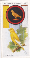 Boy Scout & Girl Guide (Patrol Signs + Emblems) 1933, Players Original Cigarette Card, 28 Canary - Player's