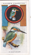 Boy Scout & Girl Guide (Patrol Signs + Emblems) 1933, Players Original Cigarette Card, 35 Kingfisher - Player's