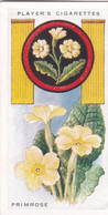 Boy Scout & Girl Guide (Patrol Signs + Emblems) 1933, Players Original Cigarette Card, 40 Primrose - Player's