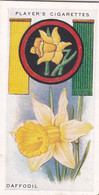 Boy Scout & Girl Guide (Patrol Signs + Emblems) 1933, Players Original Cigarette Card, 31 Daffodil - Player's
