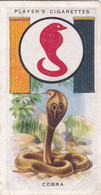 Boy Scout & Girl Guide (Patrol Signs + Emblems) 1933, Players Original Cigarette Card, 3 Cobra - Player's