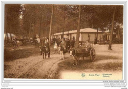 CAPELLE - Au - BOIS  ..-- VL. Brt ..-- LUNA-PARC . Vers IXELLES ( Serge HAULOTTE ) . ATTELAGE D'ânes . Voir Verso . - Kapelle-op-den-Bos