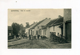1916 Belgien 1. WK Dt. Besetzung Kortenberg / Cortenberg  Photokarte Vue Du Cavitte - Kortenberg
