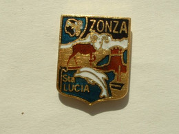 PIN'S ZONZA - ST LUCIA - CORSE - DAUPHIN - Steden