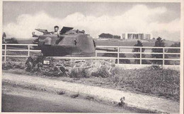 Delcampe - Bastogne - Coupole De Tank Et Mardasson - Nuts - Pas Circulé - Nels - TBE - Bastogne