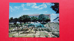 Newcastle.The War Memorial Cultural Centre.Civic Park And Fountain - Newcastle