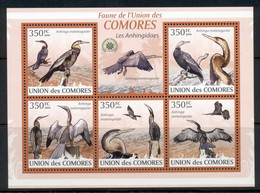 Comoro Is 2009 Birds, African Darter, Cormorant MS MUH - Comores (1975-...)