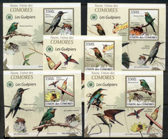 Comoro Is 2009 Birds, Bee Eaters 5x Deluxe MS IMPERF MUH - Comores (1975-...)