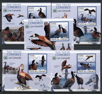 Comoro Is 2009 Birds, Ducks 5x Deluxe MS IMPERF MUH - Comores (1975-...)