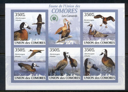 Comoro Is 2009 Birds, Ducks MS IMPERF MUH - Comores (1975-...)