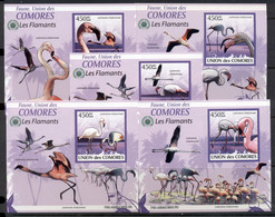 Comoro Is 2009 Birds, Flamingos 5x Deluxe MS IMPERF MUH - Comores (1975-...)