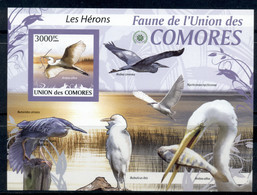 Comoro Is 2009 Birds, Herons MS IMPERF MUH - Comores (1975-...)
