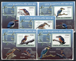 Comoro Is 2009 Birds, Kingfishers 5x Deluxe MS IMPERF MUH - Comores (1975-...)