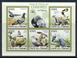 Comoro Is 2009 Birds, Pigeons MS IMPERF MUH - Comores (1975-...)