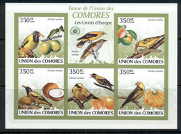 Comoro Is 2009 Birds, Songbirds MS IMPERF MUH - Comores (1975-...)