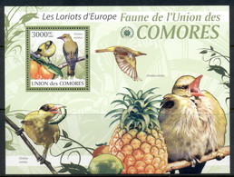 Comoro Is 2009 Birds, Songbirds MS MUH - Comores (1975-...)