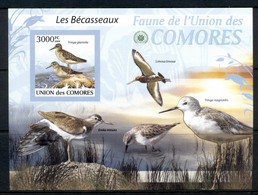 Comoro Is 2009 Birds, Wading Birds IMPERF MS MUH - Comores (1975-...)