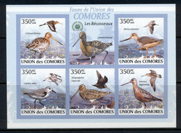 Comoro Is 2009 Birds, Wading Birds IMPERF MS MUH - Comores (1975-...)