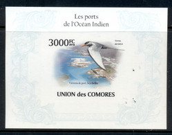 Comoro Is 2009 Indian Ocean Ports, Birds MS IMPERF MUH - Comores (1975-...)