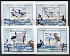 Comoro Is 2009 Indian Ocean Seabirds 4x Deluxe MS IMPERF MUH - Comores (1975-...)