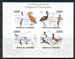 Comoro Is 2009 Sea Birds Of The Indian Ocean MS IMPERF MUH - Comores (1975-...)