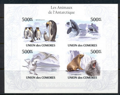 Comoro Is 2010 Animals Of The Antarctic, Bird, Seal MS IMPERF MUH - Comores (1975-...)