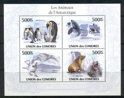 Comoro Is 2010 Animals Of The Antarctic, Bird, Seal MS MUH - Comores (1975-...)