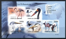 Comoro Is 2011 Wading Birds MS IMPERF MUH - Comores (1975-...)