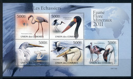 Comoro Is 2011 Wading Birds MS MUH - Comores (1975-...)