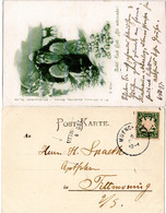 Bayern 1897, Weihnachten Künstler-AK V. München U. Aushilfstpl. TITTMONING - Zonder Classificatie