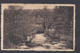 Libin - Ruisseau Du Moulin En Sous-bois - Postkaart - Libin