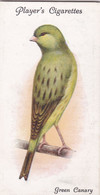 8 Green Canary Canary - Aviary & Cage Birds -1933 - Players Original Cigarette Card. - Player's