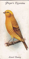 9 Lizard  Canary - Aviary & Cage Birds -1933 - Players Original Cigarette Card. - Player's