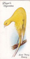11 Scots Fancy Canary - Aviary & Cage Birds -1933 - Players Original Cigarette Card. - Player's