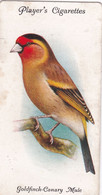 14 Goldfinch Canary Mule - Aviary & Cage Birds -1933 - Players Original Cigarette Card. - Player's