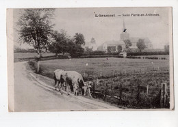 LIBRAMONT - SAINT - PIERRE En ARDENNES    *vaches* - Libramont-Chevigny