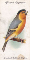 17 Goldfinch Bullfinch Hybrid - Aviary & Cage Birds -1933 - Players Original Cigarette Card. - Player's