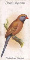 43 Violet Eared Waxbill - Aviary & Cage Birds -1933 - Players Original Cigarette Card. - Player's