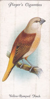 44 Yellow Rumped Finch - Aviary & Cage Birds -1933 - Players Original Cigarette Card. - Player's