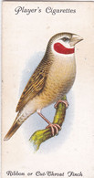 42 Ribbon Or Cut Throat Finch - Aviary & Cage Birds -1933 - Players Original Cigarette Card. - Player's