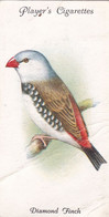 49 Diamond  Finch - Aviary & Cage Birds -1933 - Players Original Cigarette Card. - Player's
