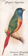 47 Nonpareil Pintailed Grass  Finch - Aviary & Cage Birds -1933 - Players Original Cigarette Card. - Player's
