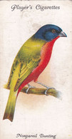 48 Nonpareil Bunting - Aviary & Cage Birds -1933 - Players Original Cigarette Card. - Player's