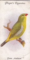 35 Green Avadavat - Aviary & Cage Birds -1933 - Players Original Cigarette Card. - Player's