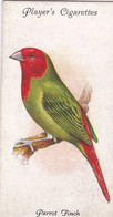 50 Parrot Finch - Aviary & Cage Birds -1933 - Players Original Cigarette Card. - Player's