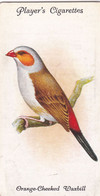 39 Orange Cheeked Waxbill - Aviary & Cage Birds -1933 - Players Original Cigarette Card. - Player's
