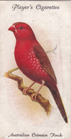37 Australian Crimson Finch - Aviary & Cage Birds -1933 - Players Original Cigarette Card. - Player's
