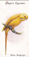 22 Yellow Budgerigar - Aviary & Cage Birds -1933 - Players Original Cigarette Card. - Player's